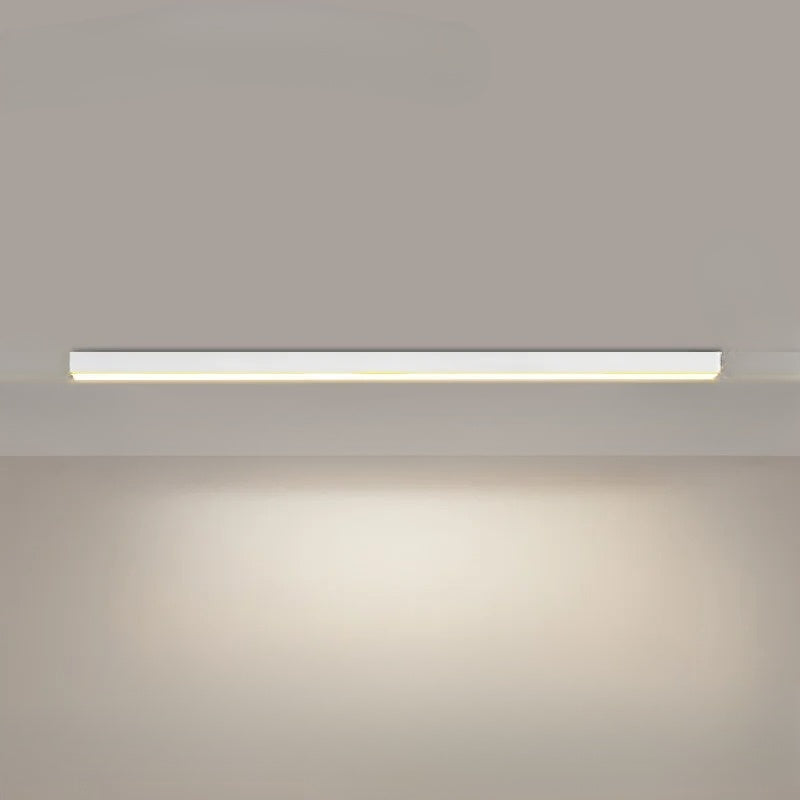 PureRay - Modern Ceiling Lamp for Restaurants and Balconies