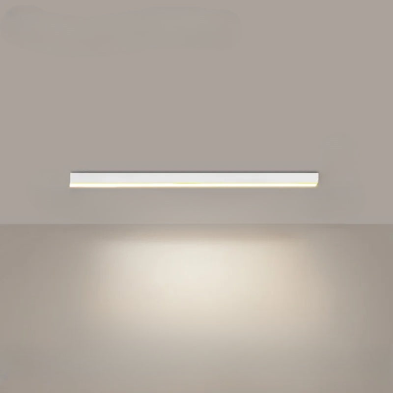 PureRay - Modern Ceiling Lamp for Restaurants and Balconies