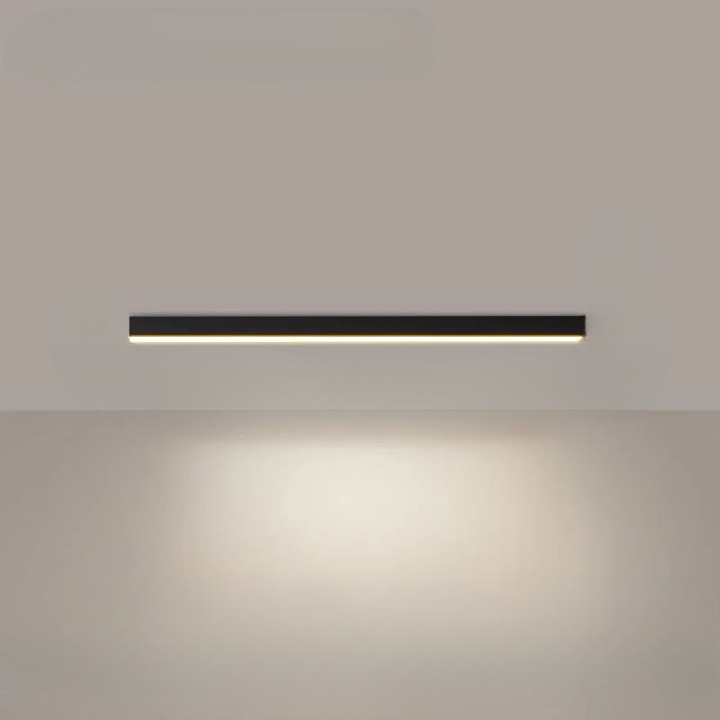 PureRay - Modern Ceiling Lamp for Restaurants and Balconies