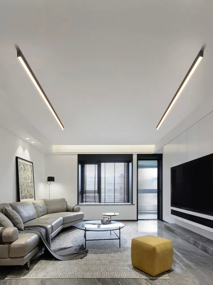 PureRay - Modern Ceiling Lamp for Restaurants and Balconies