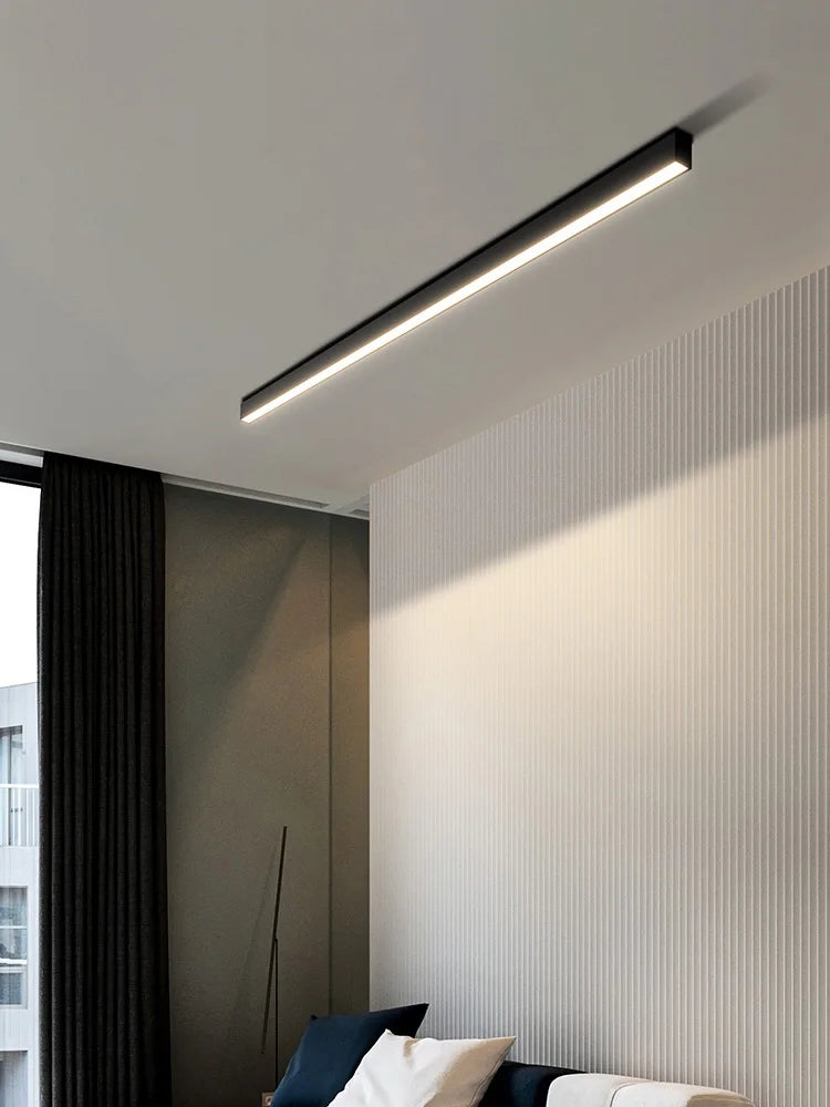 PureRay - Modern Ceiling Lamp for Restaurants and Balconies